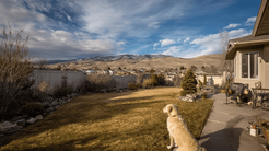 Idaho Poop Scoop Shares Importance of Regular Dog Waste Removal 