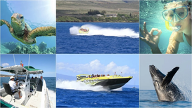 Kaanapali Ocean Adventures Guides Maui Visitors to Lanai’s Hidden Coastal Snorkel Sites from Kaanapali Beach