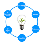 Incubate IP Attorney Earns Illinois Super Lawyers Recognition Again