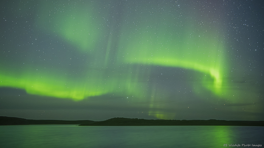 ES Wildlife Photo Tours Announces Nunavik Arctic Expedition by Eric Seemann