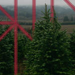 From Spreadsheets to Scalable Systems: Northern Family Farms Triples Growth with Solution Builders