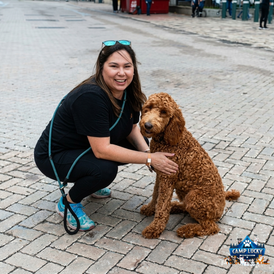Camp Lucky Board and Train St Louis Leads Modern Training Methods as Industry Trends Shift Toward Real-World Dog Training