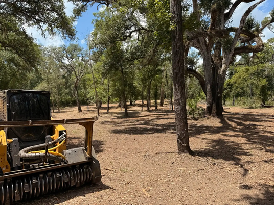 With Burn Bans Across North Florida, Swamp Gator ULM Offers No-Burn Land Clearing and Firebreak Creation for Drought-Stressed Properties