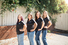 Cutting Edge Cleaning & Lawn Care Gears Up for Spring with Expanded Tractor and Property Services Across Shenandoah Valley