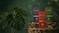 MyZen Organix Brings South African Botanical Tradition to the Modern Wellness Market