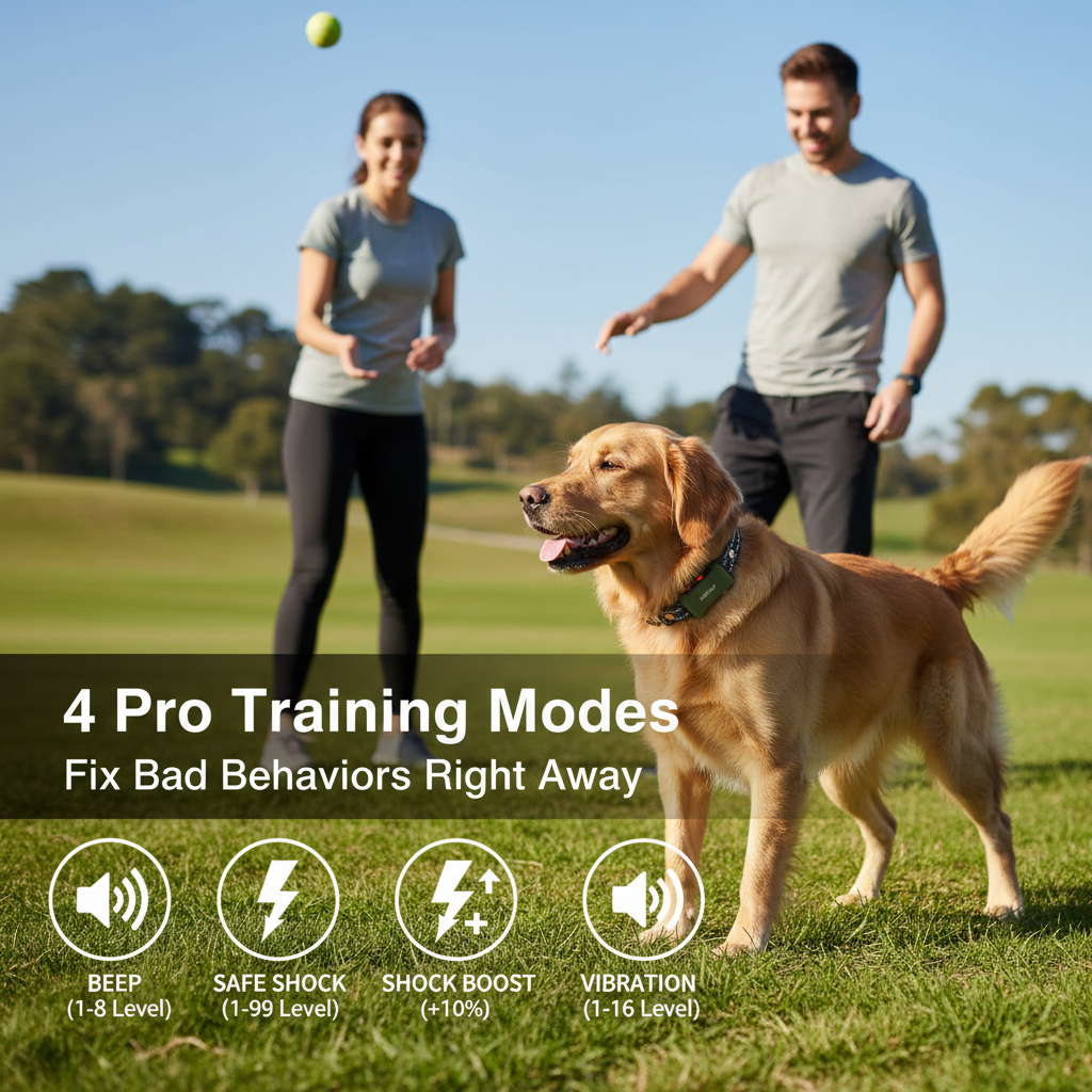 Skasii Reinvents Dog Training Collar with Remote to Improve Communication 