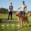 Skasii Reinvents Dog Training Collar with Remote to Improve Communication 
