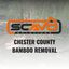 Chester County Bamboo Removal Just Got Serious: Scavo Solutions Expands Services With Heavy Equipment, Hands-On Experience, and a Process Built to Actually Work