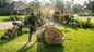 Tree Services Baton Rouge Announces Free Estimates and Two-Hour Response Times