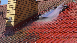 Frogtown Roofing Plus Publishes Black Roof Streak Guide for Toledo-Area Homeowners