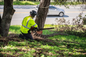 Adney Tree Service Releases Planting Guide Built for Bay Area Soil and Climate