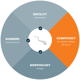 Nearly Half of Infertility Cases Involve Men, Yet Most Skip Testing. PS Fertility Wants to Close the Gap.