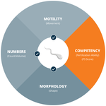 Nearly Half of Infertility Cases Involve Men, Yet Most Skip Testing. PS Fertility Wants to Close the Gap.