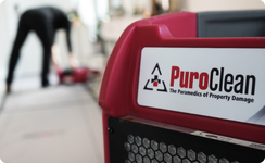 PuroClean of San Rafael Urges Homeowners to Prepare for El Niño Storm Season During Summer Window