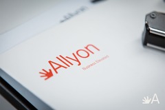 Allyon ETL: Helping International Businesses Expand into Spain