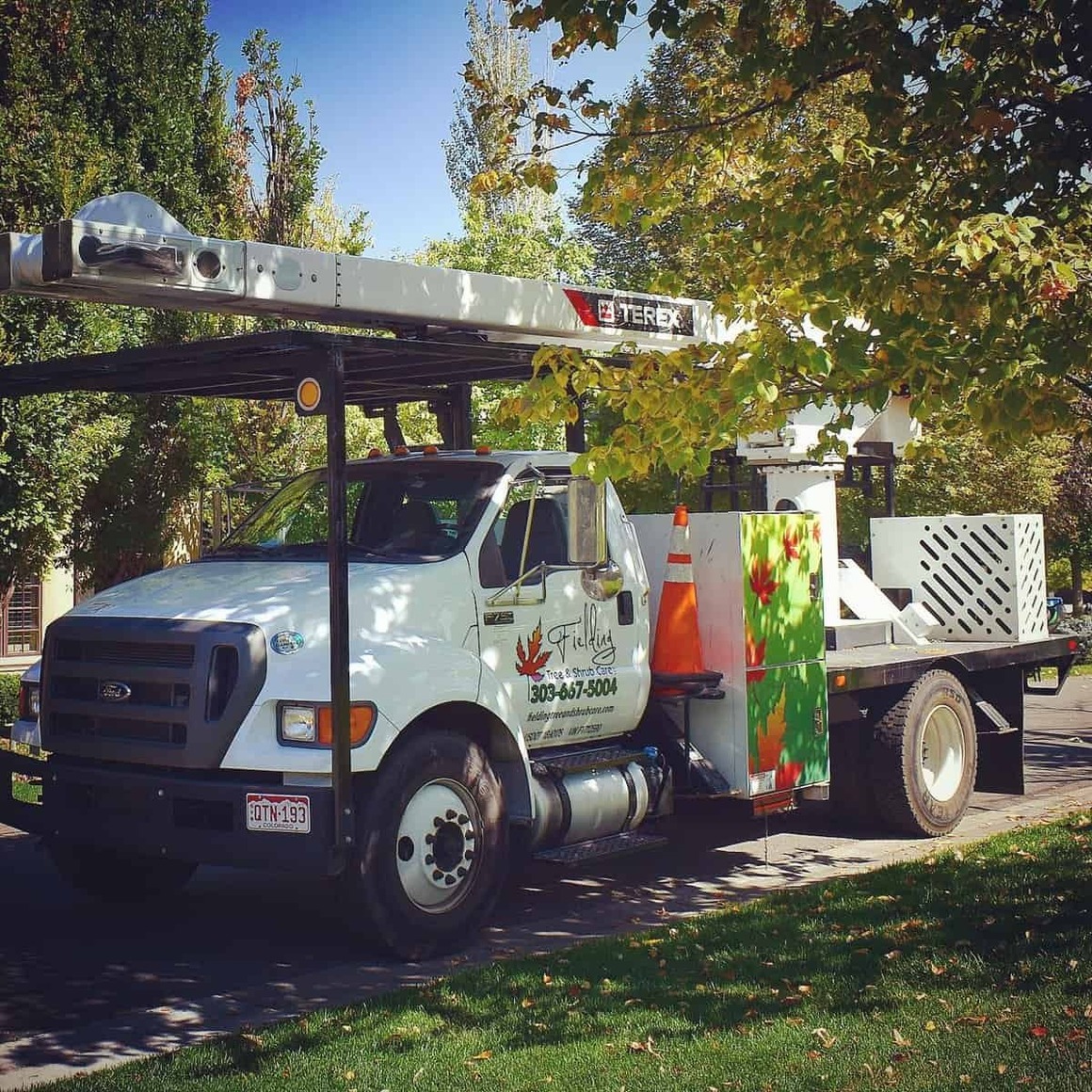 Fielding Tree Care Shares Insight on Spring Freeze Aftermath: How to Tell If Your Tree Is Actually Dead