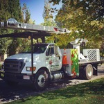 Fielding Tree Care Shares Insight on Spring Freeze Aftermath: How to Tell If Your Tree Is Actually Dead