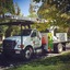 Fielding Tree Care Shares Insight on Spring Freeze Aftermath: How to Tell If Your Tree Is Actually Dead