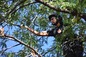 Fielding Tree Care Explains the Hidden Cost of Skipping Spring Tree Pruning in Denver