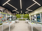 ZenZest Cannabis Dispensary Takes New York Cannabis Retail Beyond the Storefront With Direct-to-Customer Access
