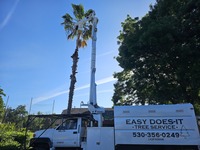 Easy Does It Tree Service Highlights Critical Arborist Services for Peak Summer Season in Redding, CA