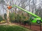 Raleigh Tree Service Recognized as One of the Best Tree Services in Raleigh, NC by Expertise.com