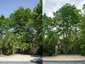 Fielding Tree Care Delivers Professional Tree Service Denver Throughout South Denver Since 2005