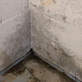 PuroClean Certified Restoration Specialists Warns Worcester Homeowners of Late-Summer Mold Surge