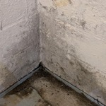 PuroClean Certified Restoration Specialists Warns Worcester Homeowners of Late-Summer Mold Surge