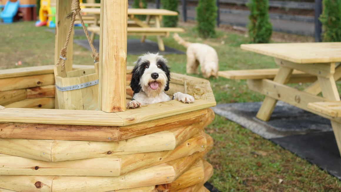 Bestland Dog Boarding and Pet Resort Opens Dog Boarding Facility Near Cartersville, Georgia