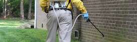 Rapid Pest Solutions Expands Commercial Pest Control Services Across Northwest Indiana and Chicagoland