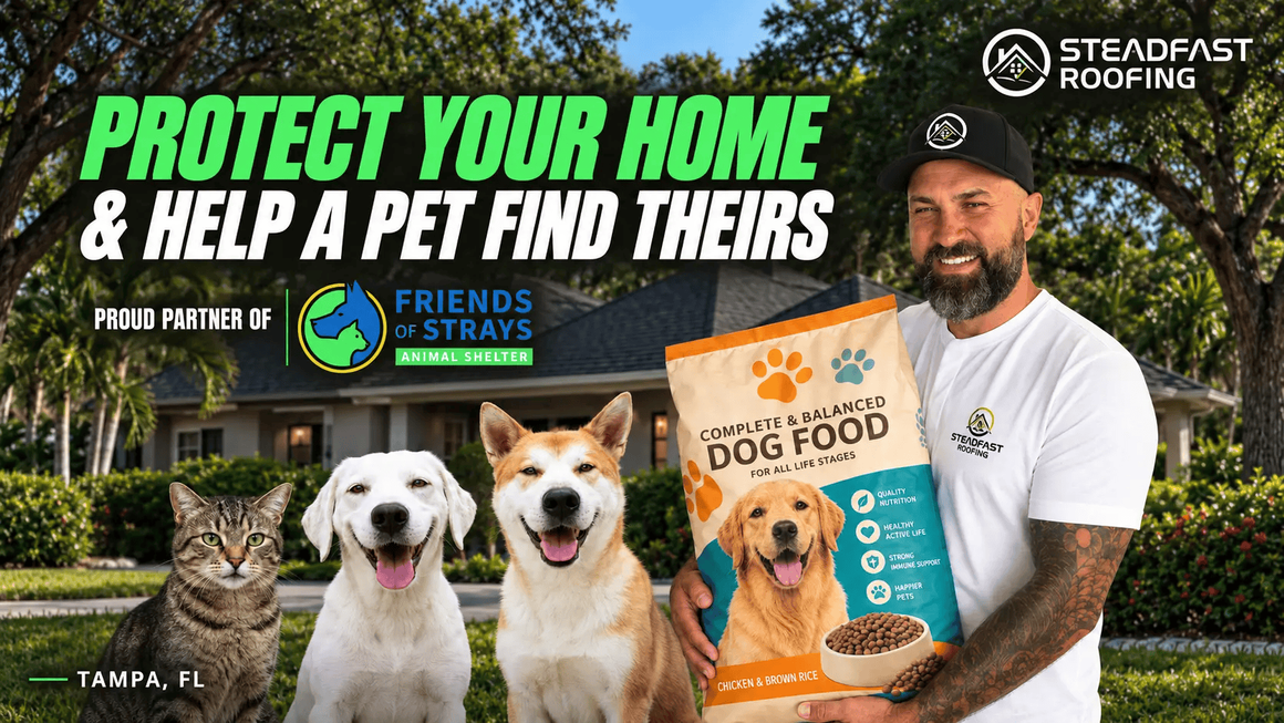 Steadfast Roofing Connects Tampa Roof Replacements with Support for Shelter Pets