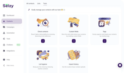 Selzy Analyzes 602 Million Emails: Smaller Campaigns Get 12x More Clicks and Automation Drives 5.3x Higher CTR