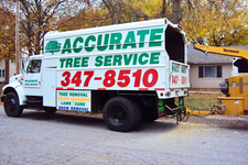 HH Accurate Arborists Expands Arborist Services in Madison, WI as Oak Wilt Season Peaks