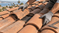 San Diego County Roofing Highlights the Importance of Proactive Tile Roof Maintenance