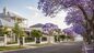 WA's Higher First Home Buyer Duty Thresholds Now Cover Perth's Median Unit Price, Says Brian McAllister Properties