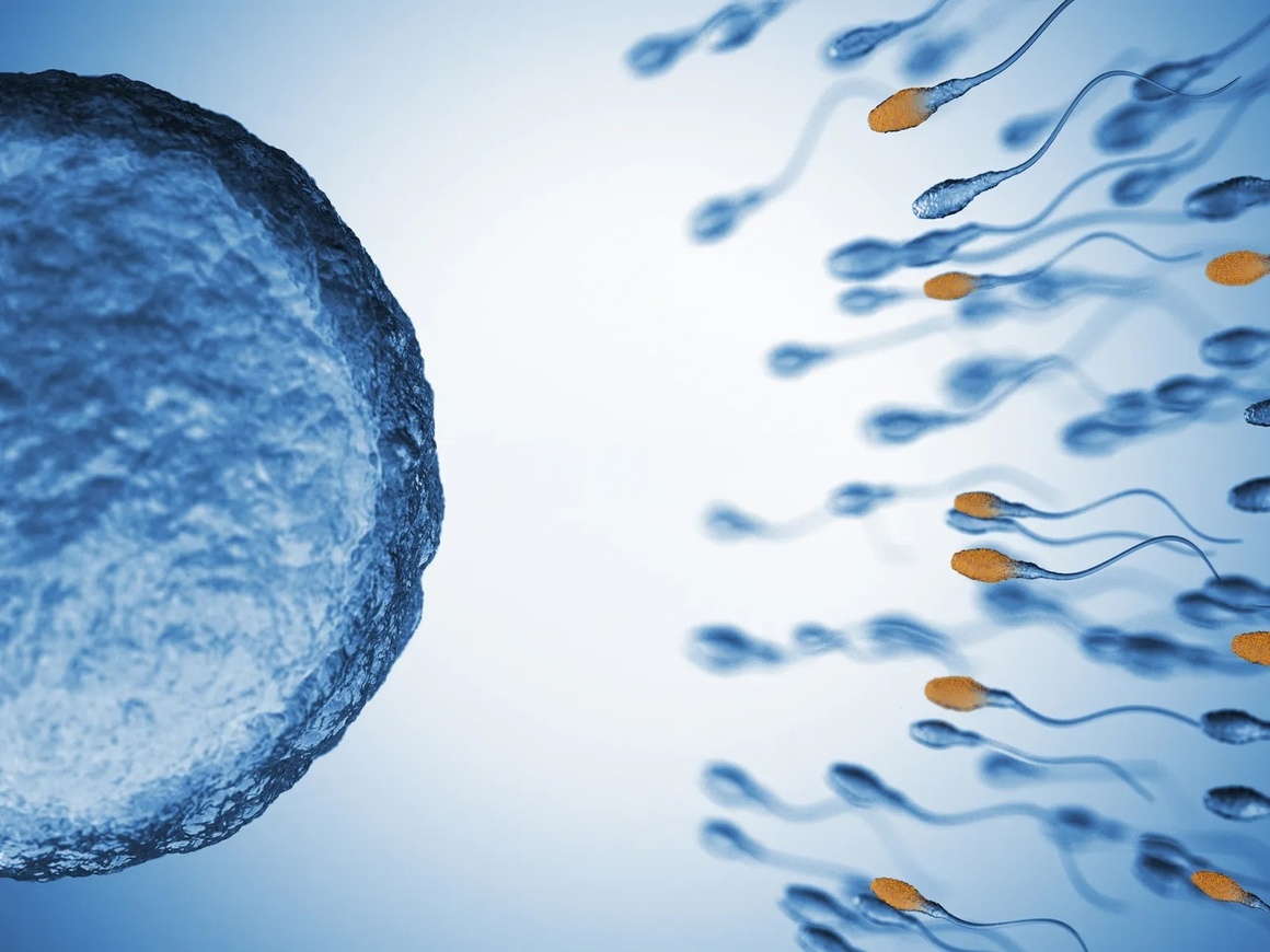 PS FERTILITY INTRODUCES PS DETECT TO PROVIDE NEW INSIGHT INTO UNEXPLAINED INFERTILITY