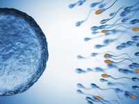PS FERTILITY INTRODUCES PS DETECT TO PROVIDE NEW INSIGHT INTO UNEXPLAINED INFERTILITY