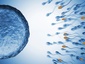 PS FERTILITY INTRODUCES PS DETECT TO PROVIDE NEW INSIGHT INTO UNEXPLAINED INFERTILITY