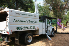 Anderson’s Tree Care Specialists Expands Tree Risk Assessments in San Jose as El Niño Rainy Season Begins