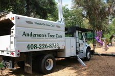 Anderson’s Tree Care Specialists Expands Tree Risk Assessments in San Jose as El Niño Rainy Season Begins